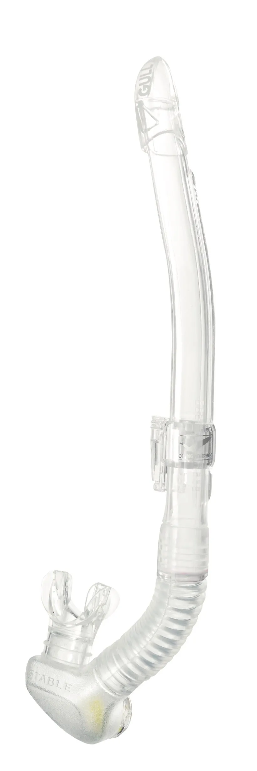 5)leila stable  [1,690B] [MYR216] [SGD69]